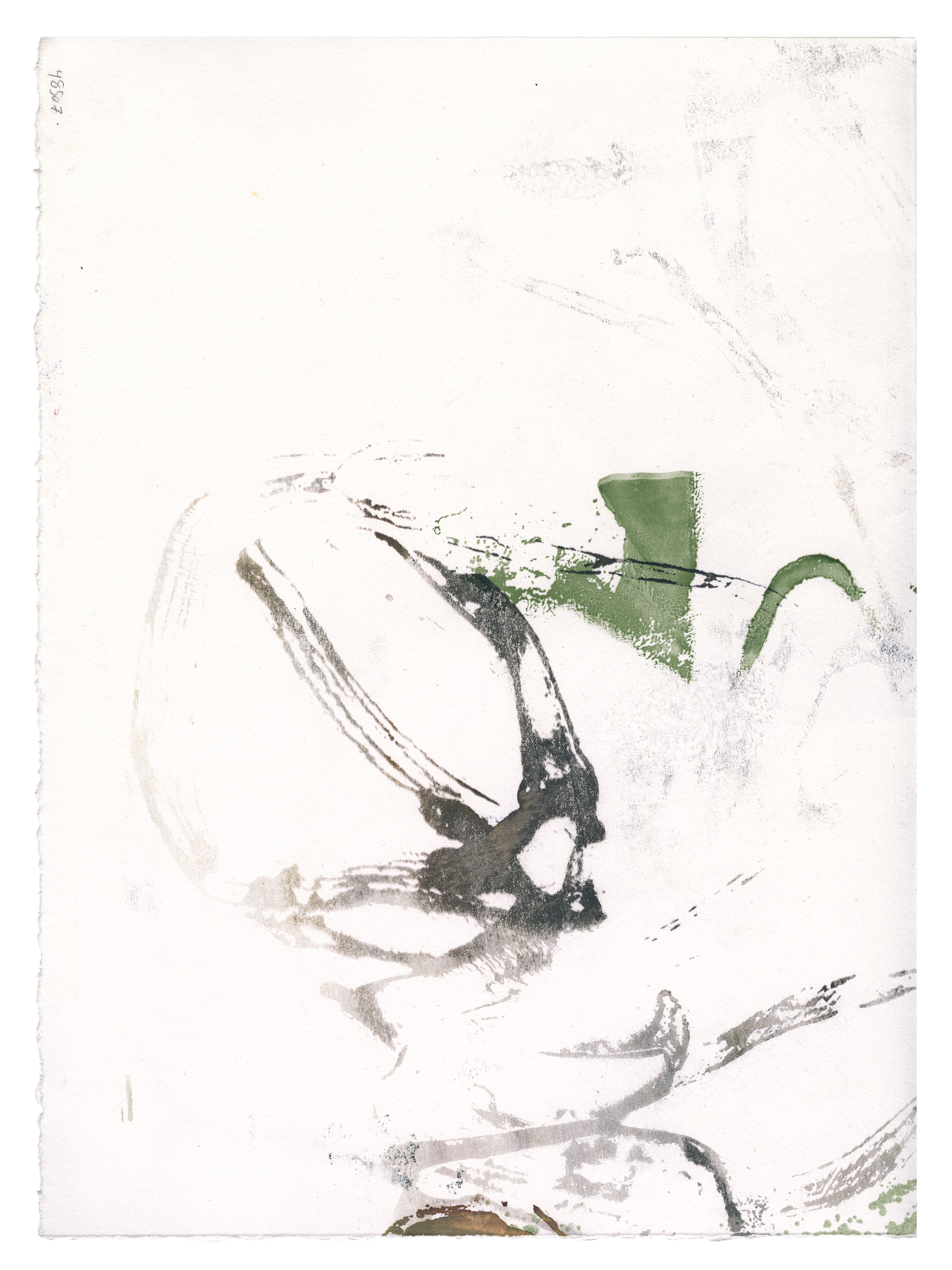 A photograph of a work on paper by artist Caroline Coolidge. The paper is white and is covered with a few organic, circular-looking abstract lines that are green and gray and layered.