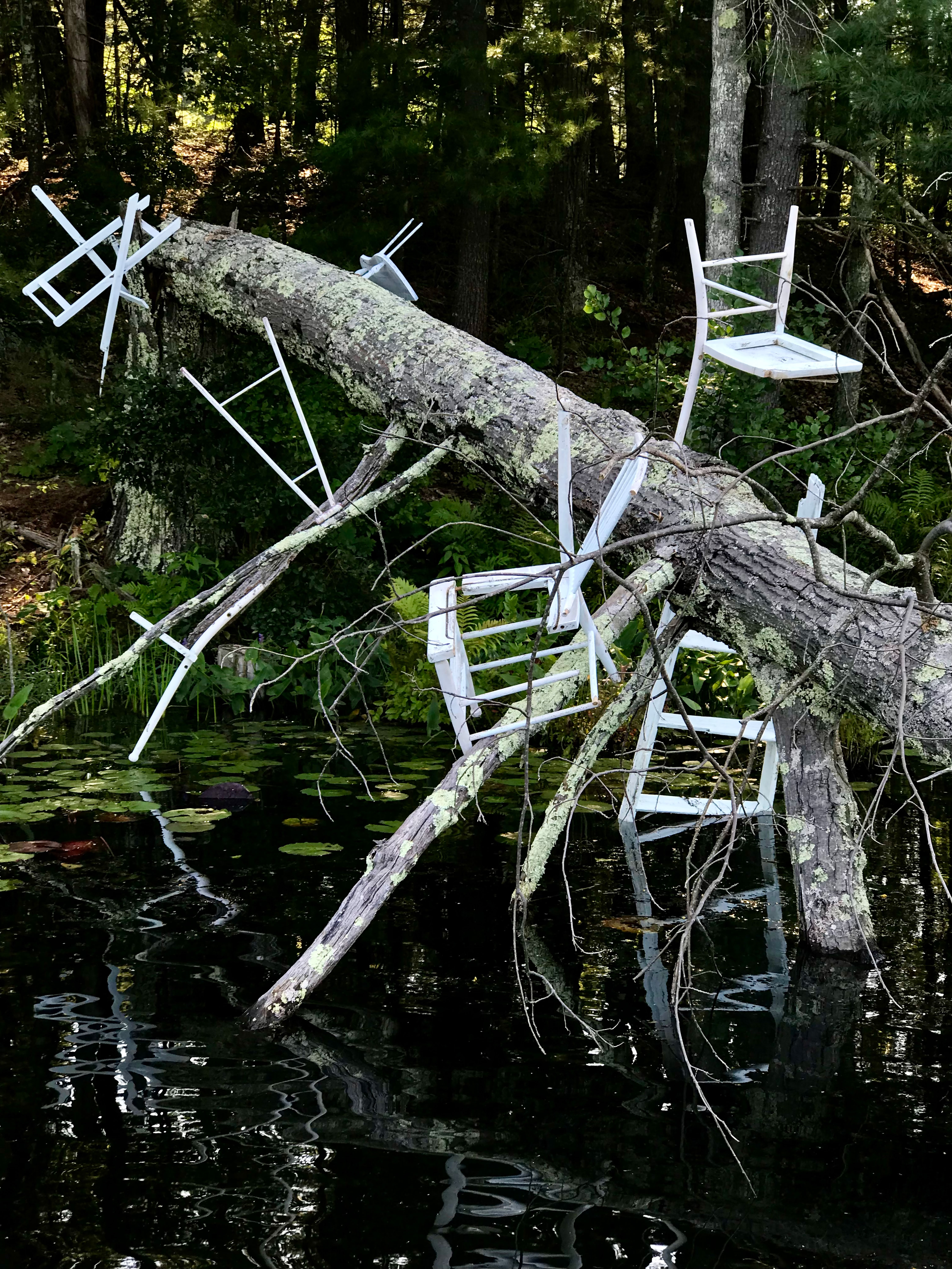 Photograph capturing a close-up of 'Metamorphic Reflections' by artist Caroline Coolidge. This detail reveals a massive tree trunk cutting diagonally from the upper left to the lower right, adorned with six white-painted wooden objects emerging from the fallen trunk, creating a bold contrast against the dark trees and water.