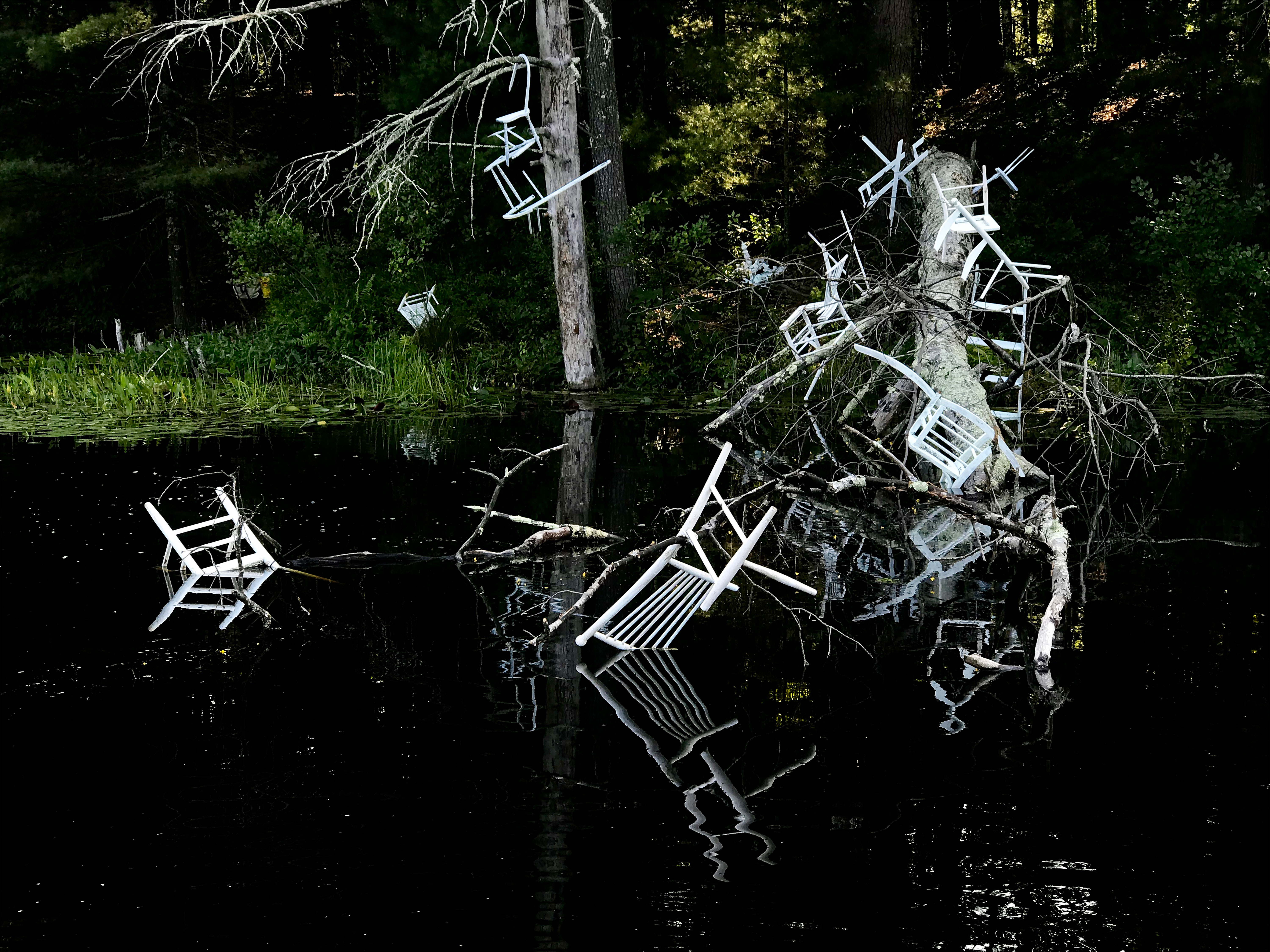 Photograph highlighting a detail of 'Metamorphic Reflections' installation by artist Caroline Coolidge. The fallen tree branch with white-painted wooden objects fills the upper two-thirds of the image, while the lower third shows the dark pond water with shimmering reflections of the wooden objects.