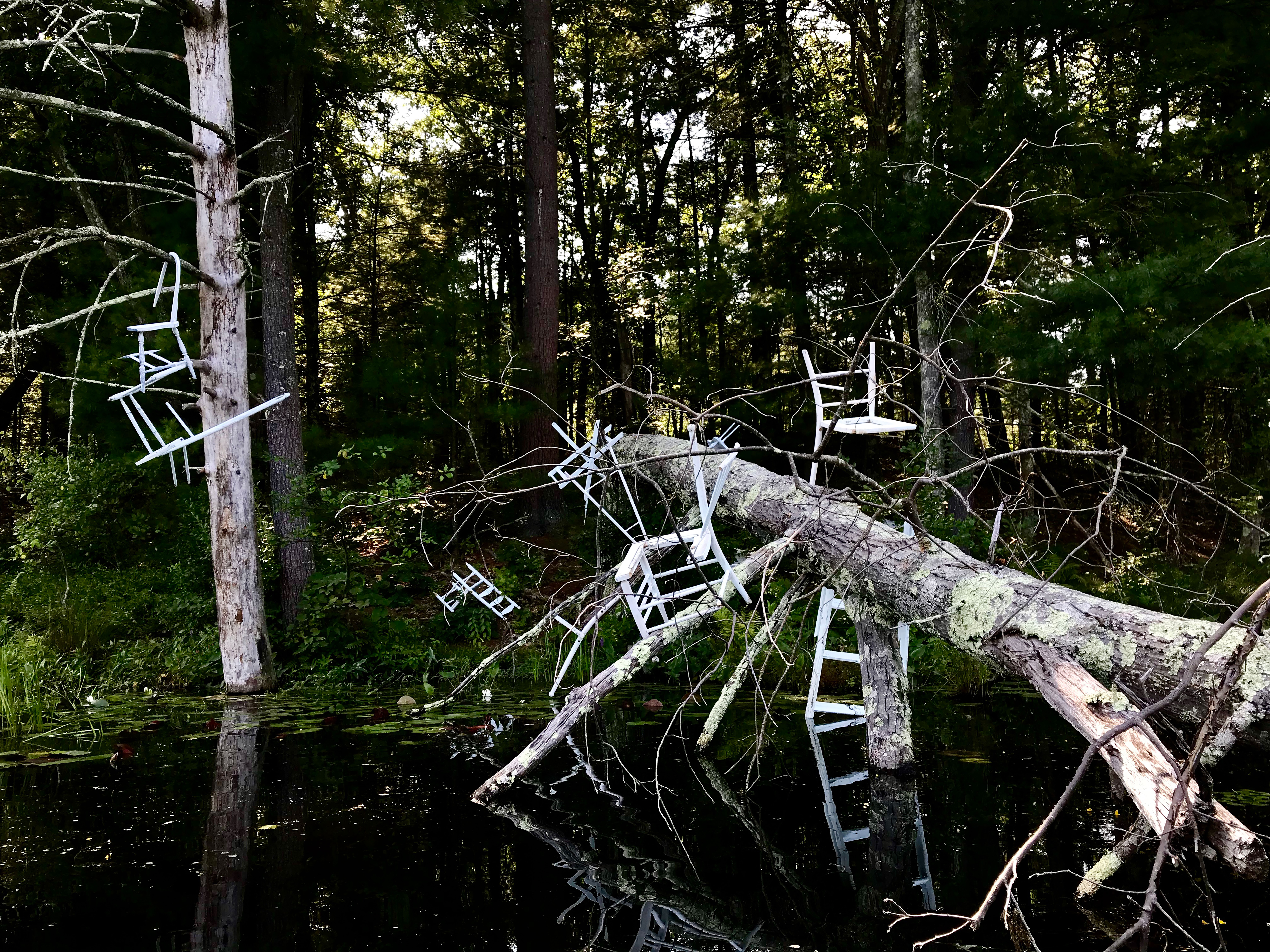 Photograph capturing a detail of 'Metamorphic Reflections' installation by artist Caroline Coolidge. This detail features a large tree on the left side of the image, with a deteriorating chair hanging from it. On the right side, the fallen tree trunk has numerous white wooden objects attached to it.