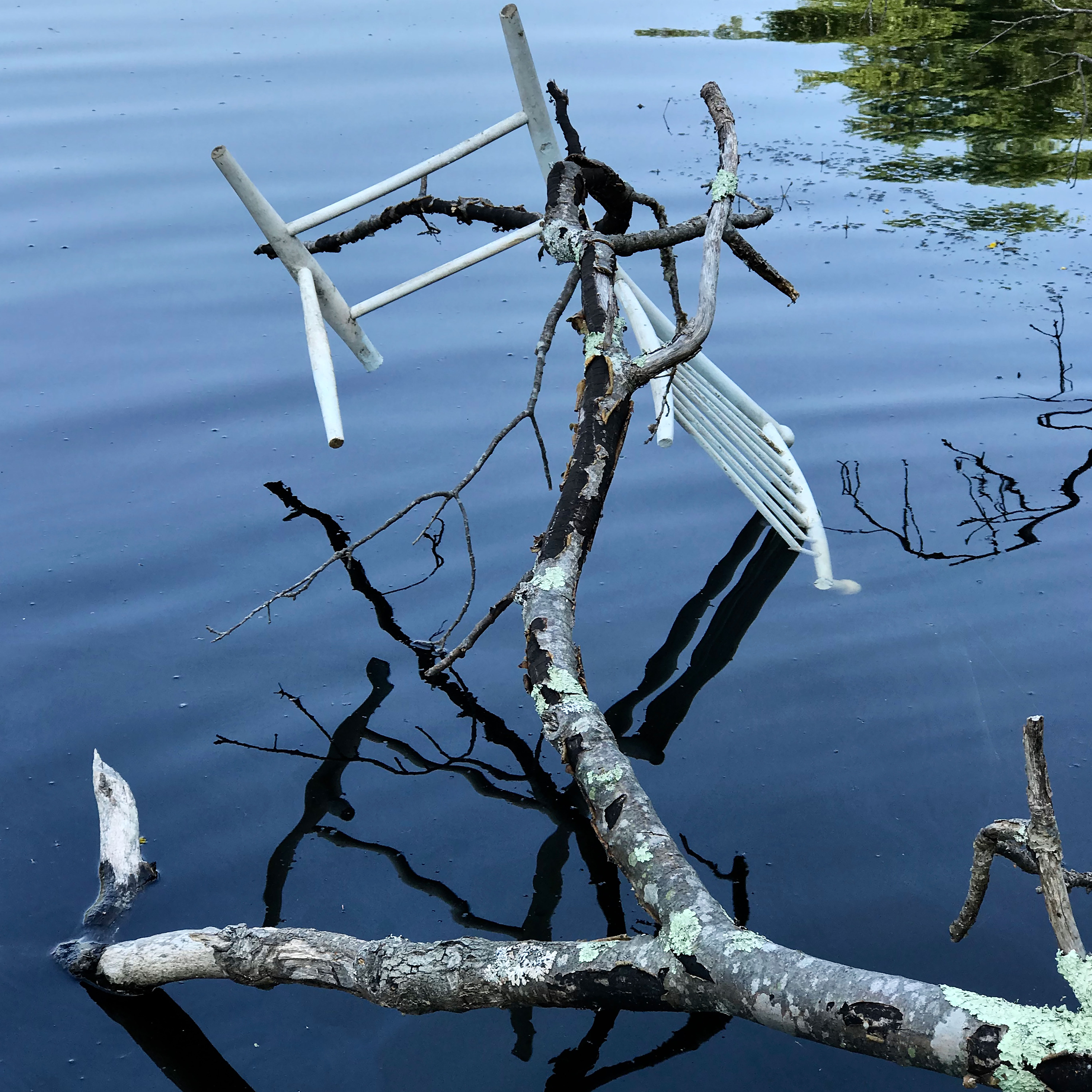 Photograph highlighting a detail of 'Metamorphic Reflections' installation by artist Caroline Coolidge, showing a branch with half of a white chair suspended upside down above the tranquil blue water of the pond.