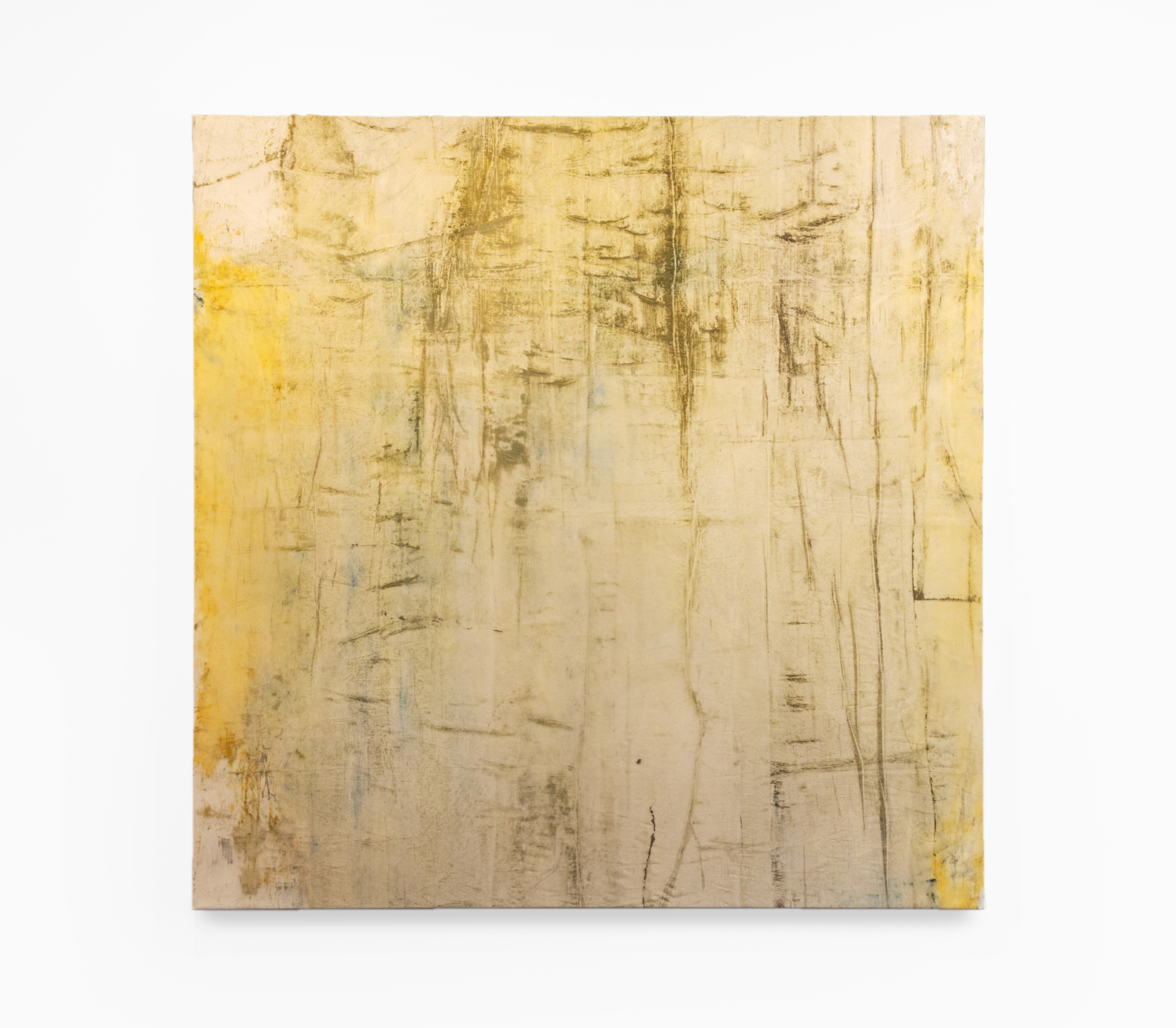 A dull yellow, color-field, square, abstract painting by Caroline Coolidge with textured lines running vertically down the composition, particularly prominent in the top third.