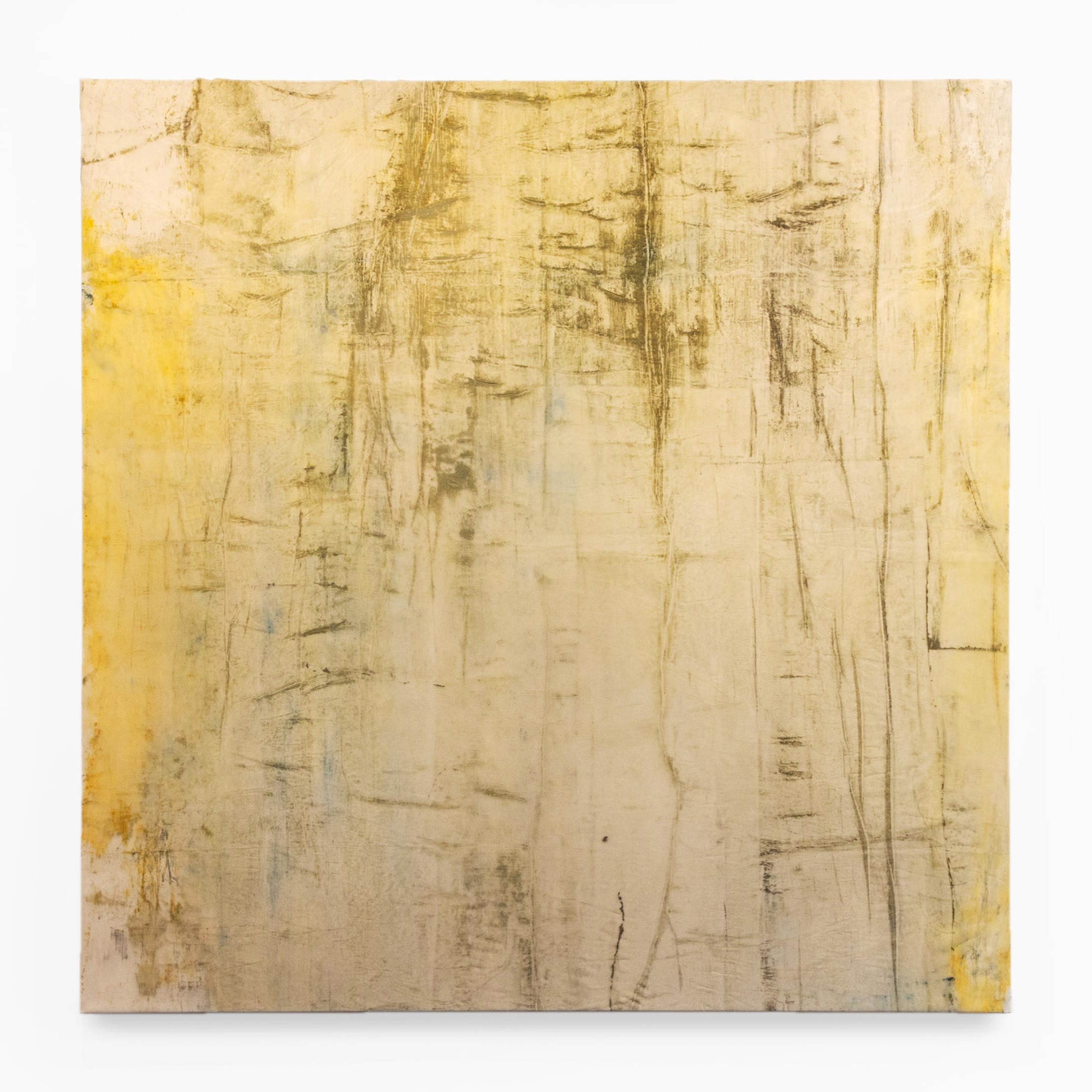 A square, highly textured abstract painting by Caroline Coolidge that is primarily yellow and down, with textured lines throughout, giving the impression of tree bark.